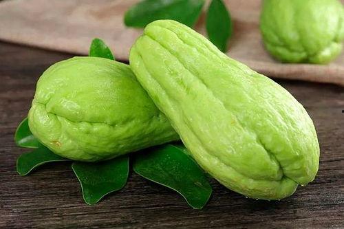 虎耳瓜可以吃嗎,美味可口的天然食材探索