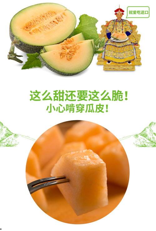 鋼牙吃蜜瓜,甜蜜與堅(jiān)韌的碰撞