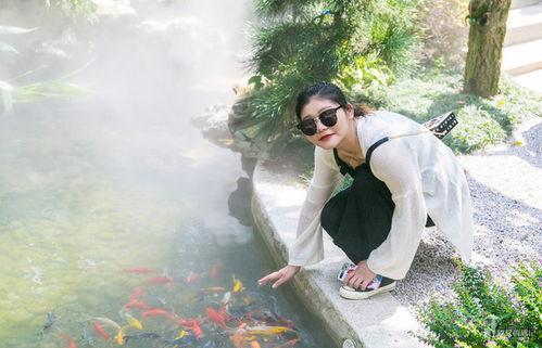 溪網(wǎng)紅,揭秘網(wǎng)絡(luò)紅人的崛起之路