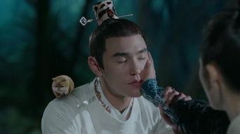 扶搖在線觀看酷,在線追劇，領(lǐng)略古裝仙俠的奇幻魅力