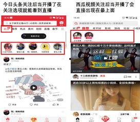 頭條關注顯示直播中,深度解析！