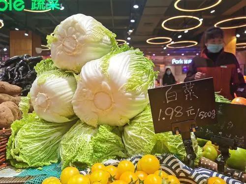 長春網(wǎng)紅大白菜,綠意盎然，人氣爆棚的蔬菜傳奇