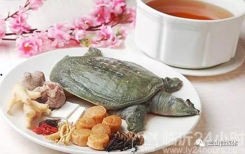 網(wǎng)紅小甲魚臨沂店,美食新地標(biāo)，探尋地道海鮮盛宴