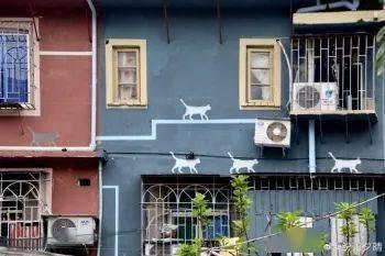 網(wǎng)紅琯琯,網(wǎng)絡(luò)紅人的魅力與影響力解析