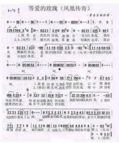 網(wǎng)紅神曲等你歸來歌詞,穿越時光的浪漫呼喚