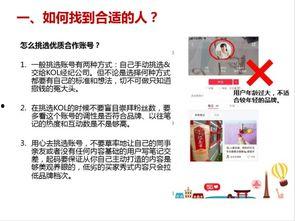 網紅小紅書達人兔兔,揭秘小紅書達人背后的生活與魅力