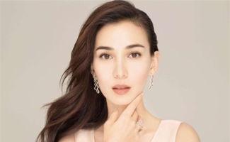 中原人的明星,璀璨星光下的中原傳奇