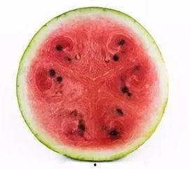 吃瓜拉瓜籽,探尋吃瓜拉瓜籽的趣味與智慧