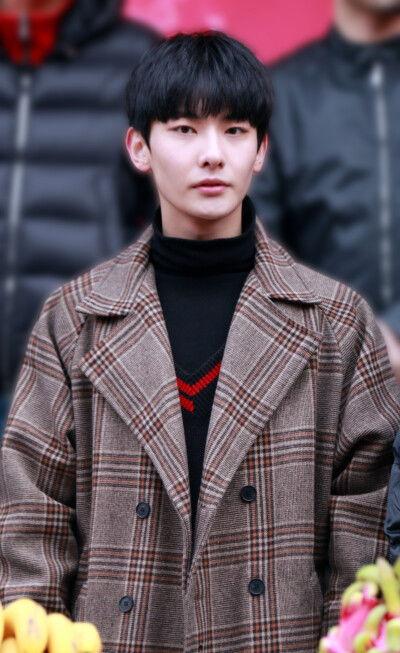 瑞昌的明星,揭秘明星背后的故事與成就