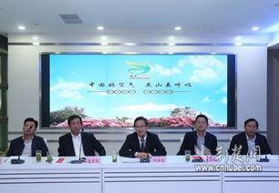 安康英山縣新聞?lì)^條,聚焦發(fā)展新篇章，共繪鄉(xiāng)村振興美好藍(lán)圖