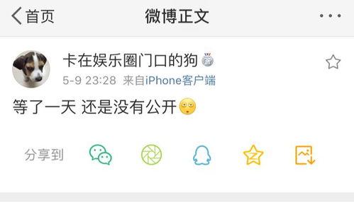 吃瓜爆料12,吃瓜爆料12，明星幕后故事大公開