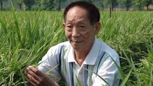 中國明星脊梁圖片高清,高清圖鑒中的風采與力量