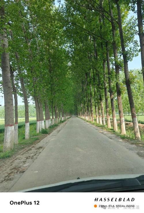 頭條汝南,探尋千年古縣的文化底蘊與現(xiàn)代化發(fā)展之路