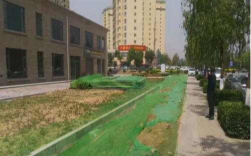 汾陽(yáng)西河鎮(zhèn)新聞?lì)^條,鄉(xiāng)村振興新篇章，西河發(fā)展成果豐碩