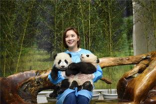 明星保護(hù)動(dòng)物