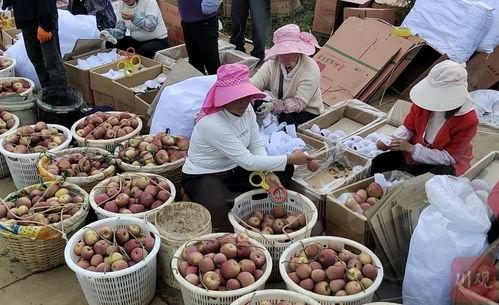 鹽源縣網(wǎng)紅,揭秘網(wǎng)紅背后的鹽源魅力