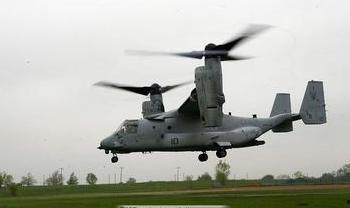 今日頭條魚鷹視頻,揭秘海洋中的神秘獵手