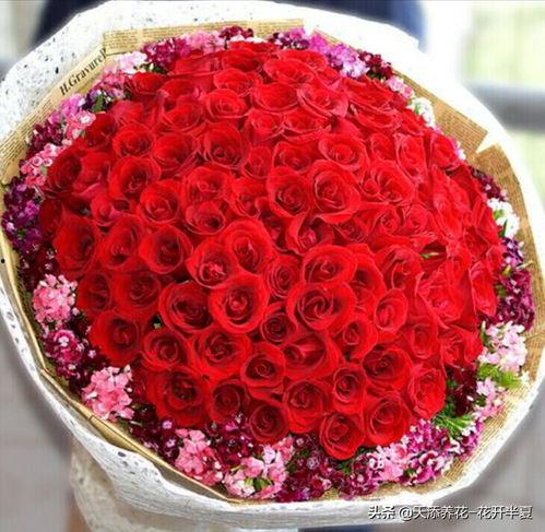 頭條怎么弄玫瑰花,頭條教你輕松打造浪漫玫瑰花