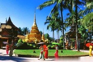 西雙版納網(wǎng)紅語句搞笑,網(wǎng)紅金句帶你領(lǐng)略熱帶風(fēng)情