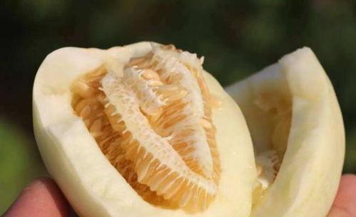 瓜懷孕可以吃瓜皮嘛,瓜皮是否安全可食用