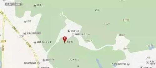 公明網(wǎng)紅打卡地方,解鎖這座城市的時(shí)尚魅力新地標(biāo)”