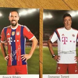 明星.torrnet,揭秘?zé)衢T影視資源背后的秘密